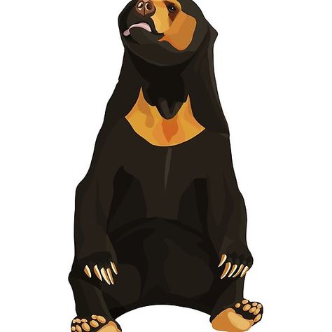 Sun Bear Sun Bear Art, Sun Bear Drawing, Sun Bear, Bear Tattoo Designs, Food Kiosk, Bear Drawing, Night Circus, Bear Tattoo, Bear Illustration