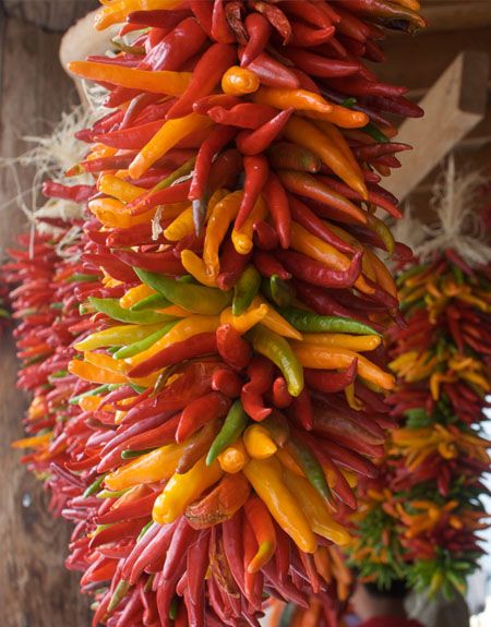 Hvordan tørrer man chili? Chilier kan holde meget længe når de er tørret, så læs denne guide om hvordan man gør Drying Chillies, Drying Chili Peppers, Dry Chili Peppers, Drying Plants, Preserving Peppers, Hot Pepper Recipes, Dried Red Chili Peppers, Chili Pepper Recipes, Chilli Plant