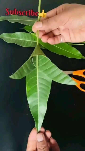 Puja Decoration At Home, Flower Rangoli Designs, Puja Decoration, Mango Leaf, Flower Garland Diy, Mandir Decoration, Leaf Projects, Diy Floral Decor, Diwali Decorations At Home