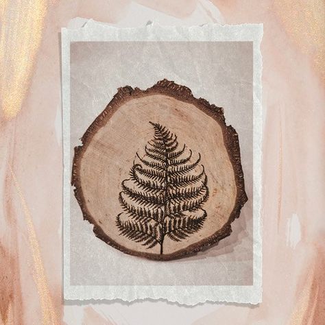 Art on wood, pyrography Majestic Forest, Pyrography Art, Fern Leaf, Art Pins, Wood Burning Art, Beauty Nature, Wood Rounds, Nature Wildlife, Flora And Fauna