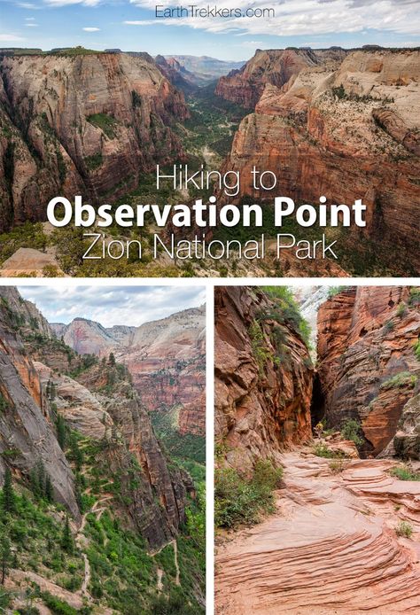 Observation Point is one of the best hikes to do in Zion National Park. It's a challenge...8 miles long with lots of climbing, but your reward is an awesome view over the park. Learn what to expect on the trail and how to combine this with another great hike, Hidden Canyon. Observation Point | Zion National Park | Hiking | Adventure | Family Adventure Travel | Earth Trekkers Zion Hikes, Angels Landing Zion National Park, Angels Landing Zion, Utah Road Trip, Zion National Park Utah, Angels Landing, Utah Hikes, St George Utah, Hiking National Parks