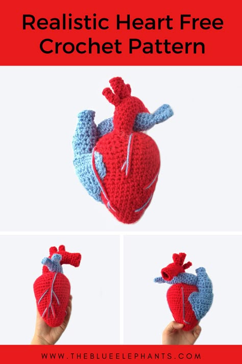 Learn how to make realistic hearts with this crochet heart pattern! This pattern is a great introduction to making plushies because of the simple shapes ! Realistic Crochet, Realistic Heart, Quick Crochet Gifts, Crochet Heart Blanket, Crocheted Heart, Heart Anatomy, Crochet Heart Pattern, Pola Amigurumi, Valentines Crochet