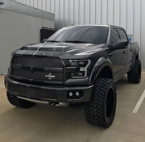 Ford F-250 Shelby Truck, Shelby Raptor, Shelby F150, Ford F150 Raptor, Ford Trucks F150, Ford Suv, Custom Pickup Trucks, Ford Shelby, Ford Pickup Trucks