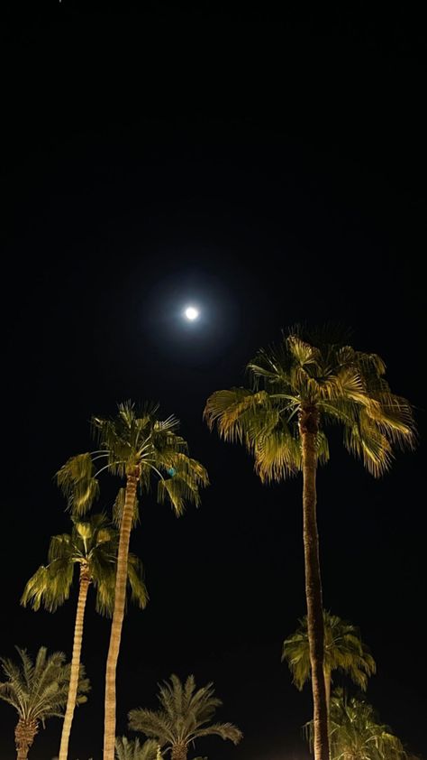 Fake Palm Tree, Ski Pictures, Birthday Post Instagram, Selfie Photography, Moon Pictures, Night Aesthetic, Insta Photo Ideas, Sky Aesthetic, Aesthetic Iphone Wallpaper