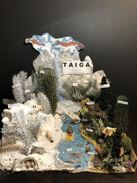 Taiga Taiga Biome, Biome, House Design, Design, Art