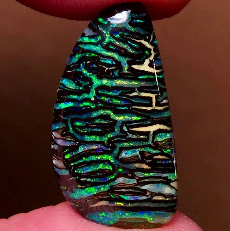 An astonishingly patterned Opal, from Koroit field, Queensland, Australia 🇦🇺 : MineralPorn Wolf Of Antimony, Pinterest Christmas, Black Pinterest, Rock Minerals, Pretty Rocks, Beautiful Rocks, Spring Jewelry, Rock Collection, A Wolf