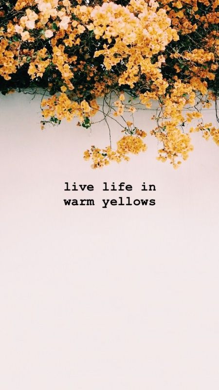 pinterest & insta: @esherwoo13 VSCO -leahcorneauu Flower Quotes Love, Tatabahasa Inggeris, Yellow Quotes, Season Quotes, Inspirerende Ord, Love Thoughts, Color Quotes, Sanya, Flower Quotes