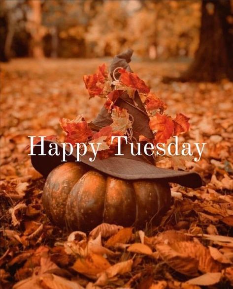 Tuesday Fall Morning, Fall Tuesday Morning, Tuesday Halloween, Avon Ideas, Work Engagement, Autumn Greetings, Tuesday Quotes Good Morning, Tuesday Greetings, Mary Kay Marketing