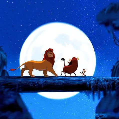 Lion King Photo, Lion King Photos, Howard Stark, Lion King 1 1/2, Lion King Timon, Lion King Hakuna Matata, Young Simba, Lion King 1, Lion King Pictures