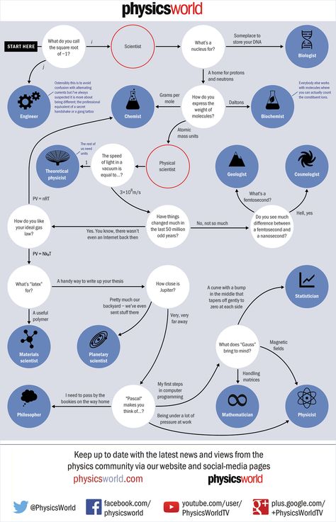 What type of scientist are you? Flowchart Types Of Scientists, Flow Chart, Natural Medicine, What Type, Scientists, Physics, Science, The Unit