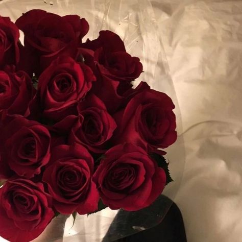 Maroon Aesthetic, Wine Aesthetic, Red Aesthetic Grunge, Dark Red Roses, Red Vines, I See Red, Cherry Wine, Red Icons:), Nothing But Flowers