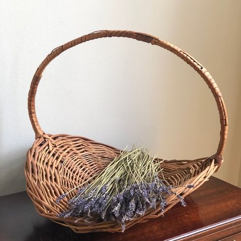 A gorgeous vintage flower gathering basket from Portugal. This mid-20th century basket features a rich and warm patina and tall rounded handle with banded detail. Perfect for displays or use in the garden. Basket Collection Display, Thrift Finds Decor, How To Decorate A Basket, Flower Gathering Basket, Garden Harvest Basket, Real Apartment, Foraging Basket, Produce Basket, Wicker Basket Decor