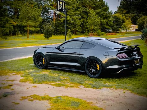 Mustang Build, Sports Cars Mustang, 2015 Mustang Gt, Ford Mustang Wallpaper, Mustang Gt350, Mustang Wheels, Mustang Wallpaper, S550 Mustang, Ford Mustang Car