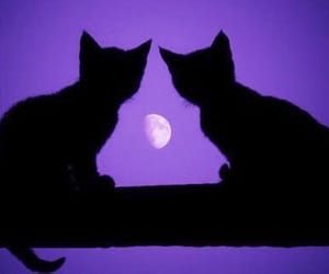 cat, moon, and purple image Kitty Cheshire Aesthetic, Cheshire Aesthetic, Aesthetic Sailor Moon, Kitty Cheshire, Moon Vibes, Aesthetic Purple, Purple Cat, Purple Aesthetic, Black Cats