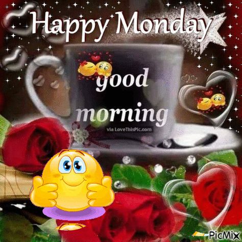 Good Morning Good Morning Monday Gif, Happy Monday Gif, Happy Monday Good Morning, Monday Gif, Monday Good Morning, Cute Good Morning Gif, Monday Greetings, Good Morning Monday, Good Morning Happy Monday