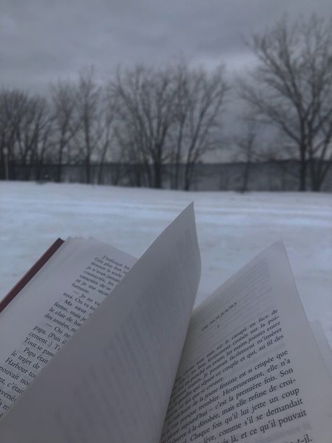 Books Winter Aesthetic, Winter Books Aesthetic, Winter Book Aesthetic, Winter Study Aesthetic, Winter Reading Aesthetic, Madison + Core + Aesthetic, Winter Widgets, November Goals, January Aesthetic