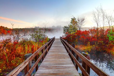 There are picturesque destinations to see New England's fall foliage both in and around Boston. Take a drive on a scenic route, go for a hike and more. Boston In The Fall, Autumn Aura, Fall Foilage, White Mountain National Forest, Visiting Boston, New England States, Fall Colours, New England Fall, New England Travel