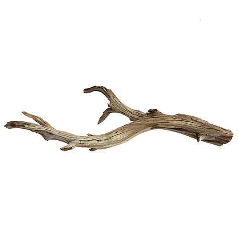 Sandblasted Ghostwood Branch | Wedding Decorations beach wedding wedding decor wedding supplies only $18.99 shop wedding flowers and wedding decorations www.afloral.com