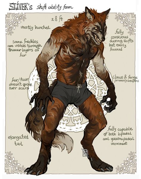 How To Draw Werewolves, Bone Character Design, Werewolf Reference Drawing, Werewolf Oc Character Design, Dnd Werewolf Character, Werewolf Character Art, Drawing Werewolves, Werecat Oc, Werewolf Drawing Reference