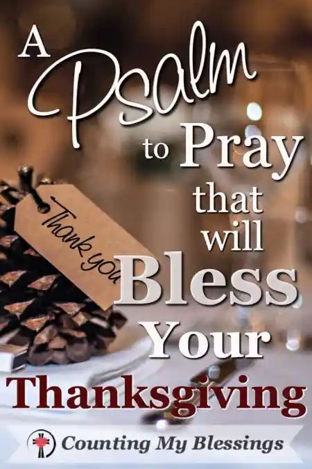 I pray this Psalm speaks to your heart and mind. Let it sink in - through your thoughts and feelings, saturate your soul, and inspire thanksgiving! Spiritual Crafts, Cultivating Gratitude, Bedtime Prayers, Christian Growth, Bible Psalms, Thanksgiving Blessings, Weekend Quotes, Loving God, Faith Bible