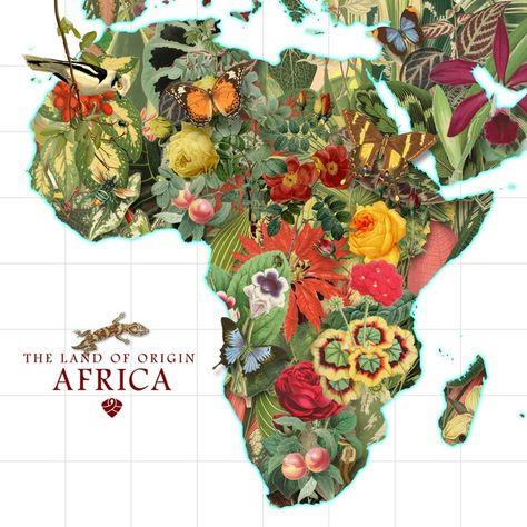 The 'Africa' I Know African Love, African Map, Afrique Art, Digital Marketing Design, Africa Art, Africa Map, Affordable Art Prints, Map Art Print, Illustrated Map