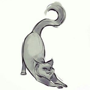 Tumblr Art Drawings, Cats Art Drawing, Cat Anatomy, Cat Nose, Cat Sketch, Tumblr Art, Cerámica Ideas, Cat Pose, Warrior Cat