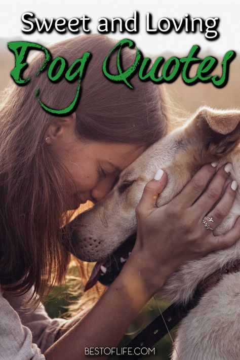 Dog Sayings Quotes My Heart, Dog Quotes Short, Dogs Sayings, Dog Quotes Love Meaningful, Funny Quotes About Dogs, Sweet Dog Quotes, Dog Loyalty Quotes, Dog Funny Quotes, Dog Best Friend Quotes