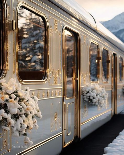 Wedding on a #train 😍😅 What do you think ? 😊 📷 @anne.jang | Instagram Luxury Train, Orient Express, Train Ride, 2024 Wedding, Believe In Magic, A Train, Luxury Wedding, You Think, Train