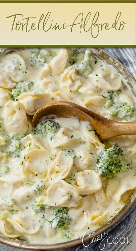 Tortellini Alfredo in a creamy alfredo sauce with broccoli Easy Cheap Stovetop Dinners, No Chicken Dinner Recipes, Easy Tortellini, Tortellini Alfredo, Busy Mom Recipes, Cozy Cook, Tortellini Recipes, Alfredo Sauce Recipe, Alfredo Recipe