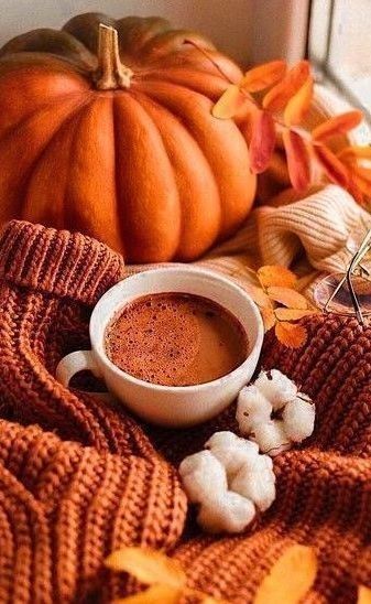 Pumpkin Spice Coffee Recipe, Fall Aesthetic Pictures, Coffee Autumn, Studera Motivation, Best Coffee Maker, Pumpkin Spice Coffee, Autumn Magic, Autumn Morning, Cozy Season