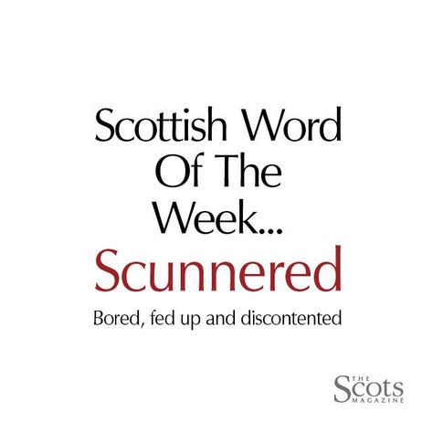 Scottish Word Of The Week, Scottish Words, This Week, Word Of The Week, Silly Words, Fun Words, Interesting Words, Words Definitions, Unique Words Definitions