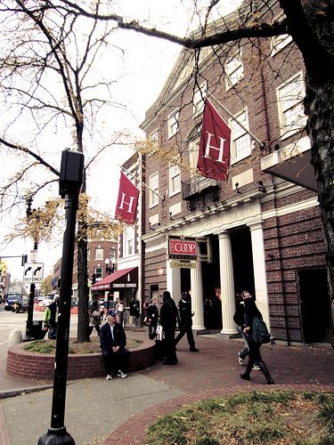 Harvard University Campus, University Inspiration, Harvard Students, Law School Inspiration, Harvard Square, Cambridge Massachusetts, Harvard Law, Harvard Law School, College Aesthetic