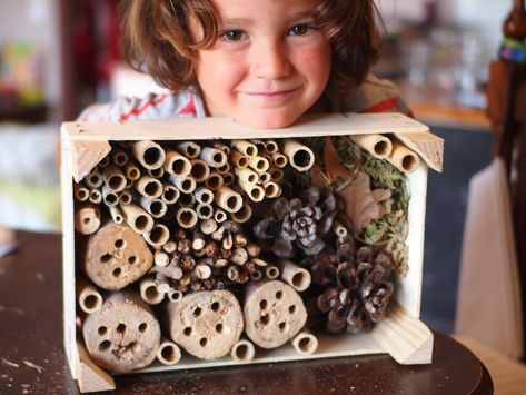 Hotel de insectos en caja de fresas - Crianza en Verde School Garden Club, Bee Hotel, Bug Hotel, Insect Hotel, Daisy Girl Scouts, Mud Kitchen, Pallet Garden, Outdoor Classroom, Wildlife Gardening