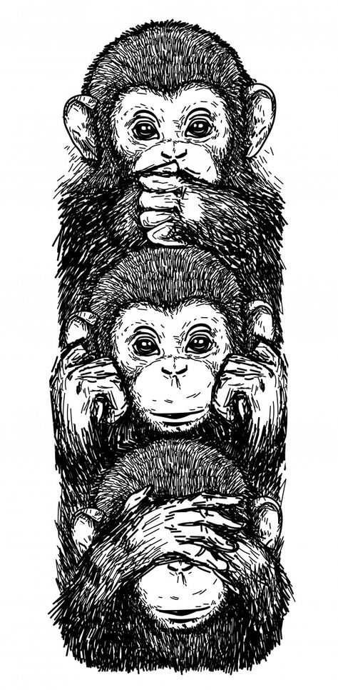 Tattoo art sketch monkeys, ears closed, eyes closed, closed mouth black and white Premium Vector | Premium Vector #Freepik #vector #character #animal #cute #face Three Monkeys, Monkey Drawing, Monkey Tattoos, Three Wise Monkeys, Pyrography Patterns, Wise Monkeys, Monkey Art, Animal Cute, Cute Face