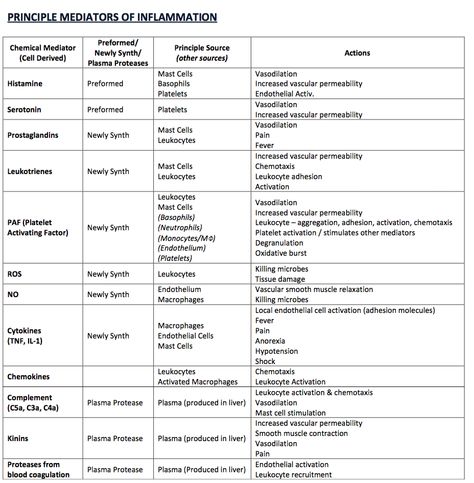 Mediators of Inflammation Inflammation Pathology, Medications Nursing, College Life Hacks, Medical Student Study, Critical Care Nursing, Nursing School Studying, Medical School Studying, Study Smarter, Critical Care