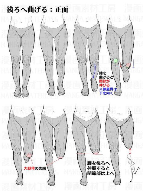 Leg Anatomy, Drawing Legs, Body Drawing Tutorial, Human Anatomy Drawing, Manga Drawing Tutorials, Human Anatomy Art, Anatomy Sketches, Body Reference Drawing, Anatomy Drawing