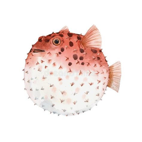 Puffer Fish Art, Hedgehog Watercolor, Watercolor Hedgehog, Surrealism Fashion, Sea Nursery, Watercolor Vector, Underwater Theme, Fish Stock, Puffer Fish