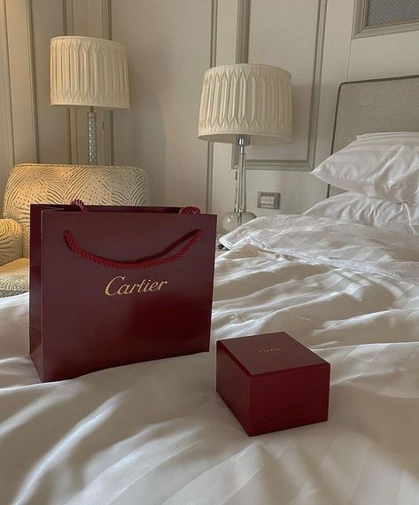 Cartier bags, cartier aesthetic, cartier box Super Rich Kids, Luxury Lifestyle Dreams, Future Lifestyle, Rich Kids, Rich Life, Dream Lifestyle, Old Money Aesthetic, Rich Girl, Material Girls