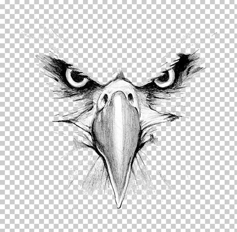 Eagle Beak Drawing, Black And White Eagle Tattoo, Hawk Face Tattoo, Eagle Face Tattoo Design, Eagle Face Drawing, Eagle Tattoo Girl, Eagle Drawing Sketches, Eagle Feather Drawing, Eagle Flying Drawing