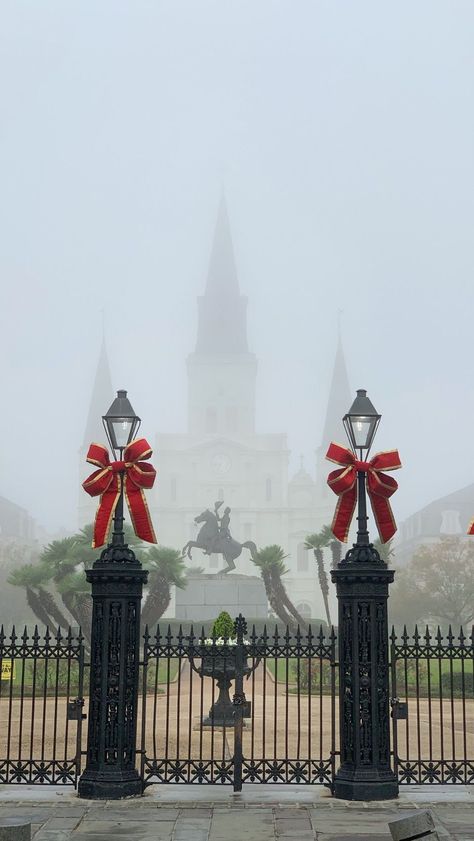 New Orleans December, Christmas New Orleans, Roosevelt Hotel New Orleans Christmas, Christmas In New Orleans, New Orleans Dark Aesthetic, Cypress Island, Louisiana Christmas, New Orleans Christmas, Southern Winter