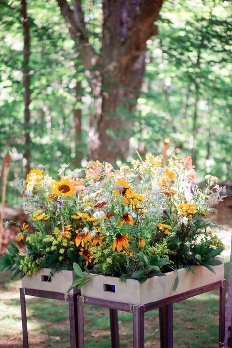 Wildflower Planter, Planter Box Centerpiece, Bud Vase Centerpiece, Wildflower Centerpieces, Rustic Summer Wedding, Greenery Centerpiece, Purple Wildflowers, Account Manager, Diy Arrangements