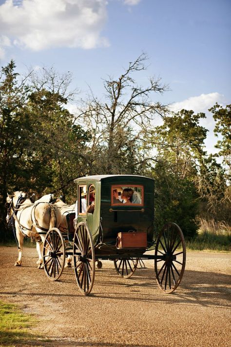 horse & carriage. Preferably in nature or in quaint little villages and towns as seen in Kerry Co, Ireland. Horse With Carriage, Carriage With Horse, Carriage Ride Aesthetic, Horse Drawn Carriage Aesthetic, Horse And Buggy Carriage, Horse And Carriage Aesthetic, Horse Carriage Aesthetic, 1800s Carriage, Carriage Aesthetic