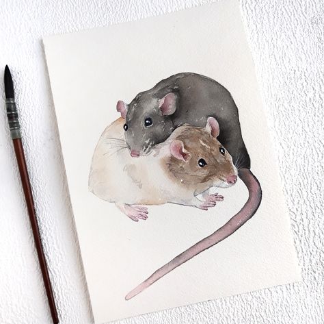 Rat Illustration, Bunny Portrait, Rat Drawing, Rat Tattoo, Custom Bunny, Rabbit Drawing, Watercolor Pencil, Cute Rats, Pet Rats