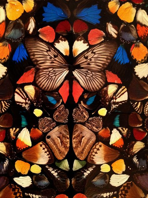 Damian Hirst Butterflies, Prints And Patterns Aesthetic, Fragments Photography, Damien Hurst, Damien Hirst Paintings, Damien Hirst Art, Damien Hirst Butterfly, Insect Art Projects, Butterfly Print Pattern