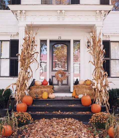 Fall Room Decor Archives - Hike n Dip Corn Stalks Front Porch, Dream Porch, Fall Szn, Fall Front Porch Decor Ideas, Outside Fall Decor, Corn Stalks, Rustic Porch, Fall Front Porch Decor, Autumn Magic