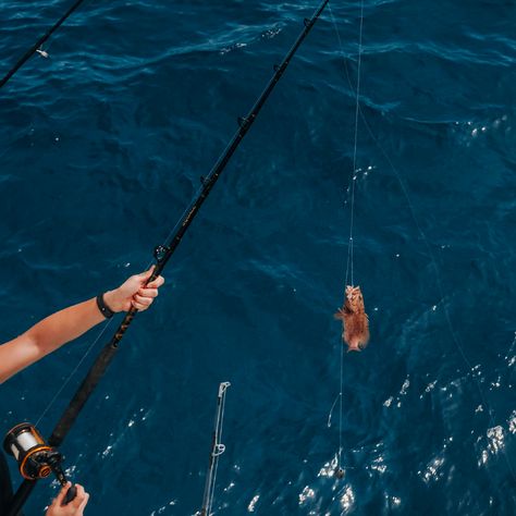 Maybe we can't call you Poseidon, but fishing with us will make you feel like the king of the sea, no matter the size of your catch! 🛥️🎣  #boat #charter #partyboat #travel #florida #fishing #sea #fish #floridakeys #islamorada Florida Fishing, Travel Florida, Visit Florida, Boat Party, Sea Fish, Florida Keys, Sealife, Island Life, Sea Life