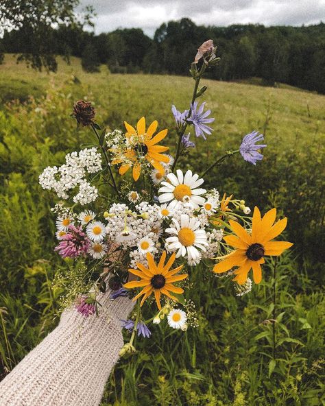 Kelsey 🦊🍂✨ on Instagram: “July’s wildflowers & new beginnings 🌸🌻🌼🌿✨”