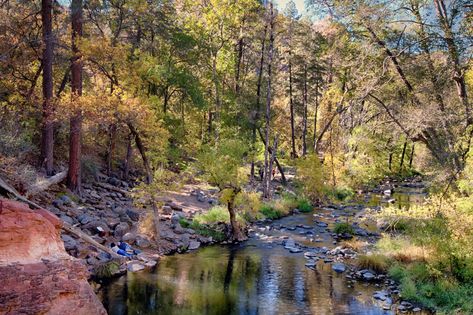 Best Camping in and Near Coconino National Forest Arizona Forest, Coconino National Forest, Fossil Creek, Koa Campgrounds, Forest Resort, Tahquamenon Falls, Arizona Camping, Oak Creek Canyon, Red Rock Amphitheatre