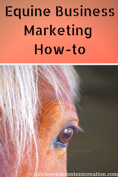 Equine Business Plan, Equine Business Marketing, Equine Therapy Business, Equine Business Ideas, Horse Business Ideas, Equine Massage Therapy Business, Horse Boarding Business, Equine Therapy Activities, Equine Bodywork