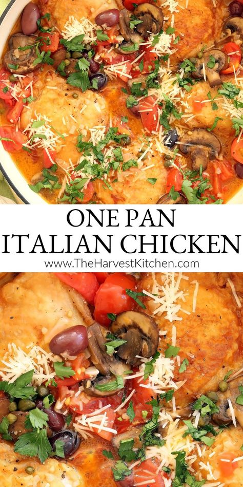 Chicken With Mushrooms And Olives, Italian Chicken Recipes Healthy, Chicken Olives Tomatoes Recipe, Italian Main Dishes Chicken, Chicken With Olives And Capers, Easy Italian Breakfast Recipes, Baked Italian Chicken Recipes, Italian Chicken Recipes Oven, Italian Chicken Thigh Recipes